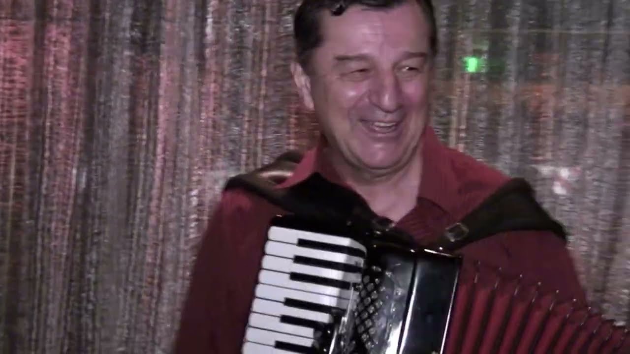 Ljubiša Pavković uživo 2018 - Club Topčider - deo atmosfere || Balkan accordion music || Acordeón