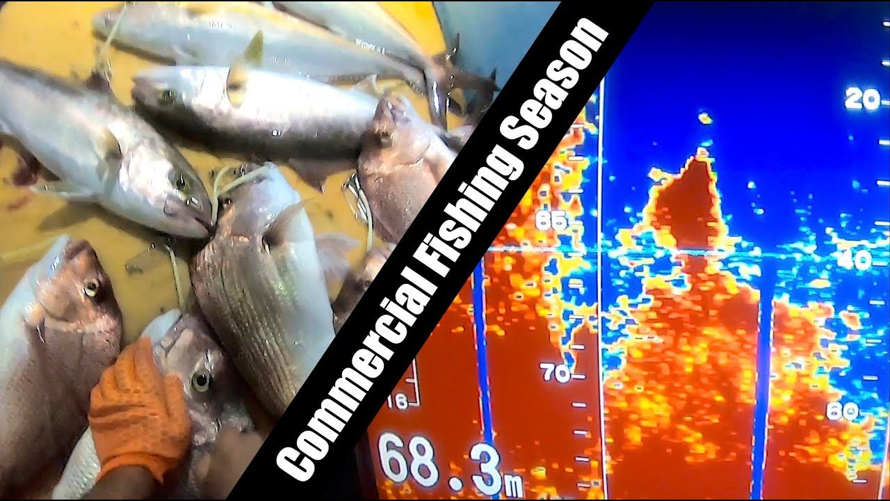 CORAL BAY to CARNARVON, Commercial Wetline Fishing, Western Australia, Season 2, Trip 6.
