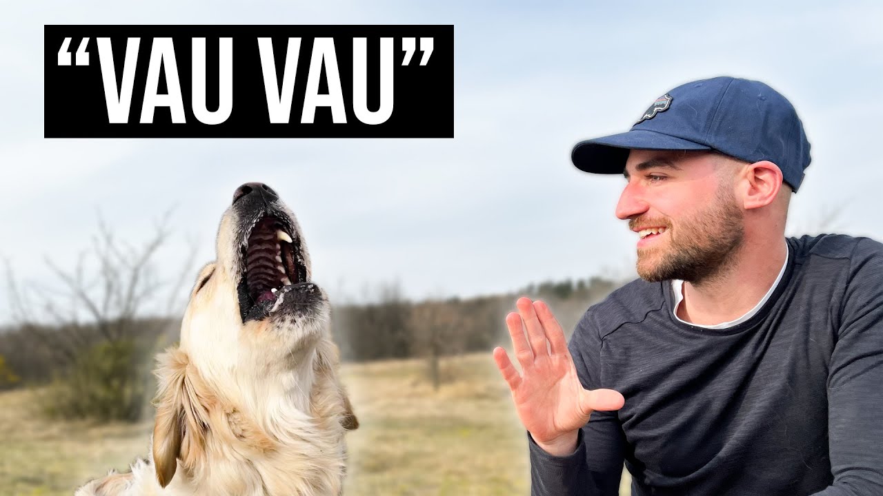 Megtanítottam egy NEM UGATÓ kutyát UGATNI! (így tudod te is)