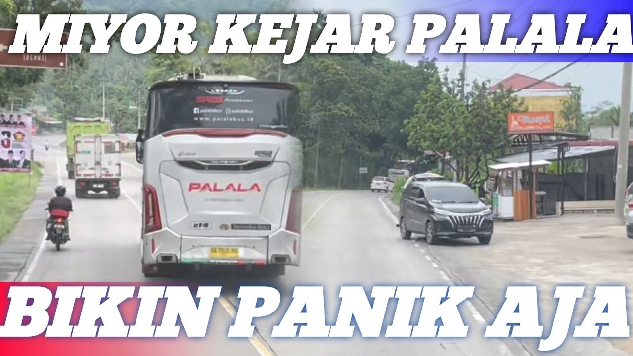 bikin panik panik aja ini bus miyor miyor bintang talawi kejar palala mugello 