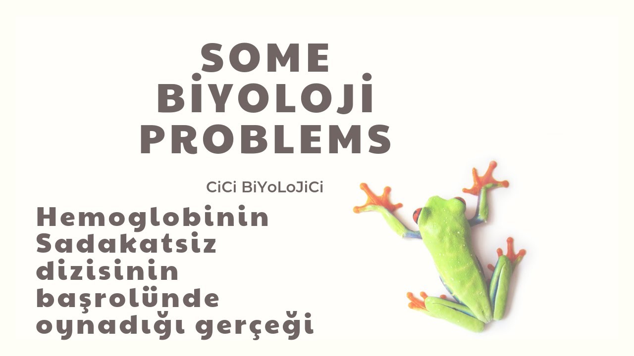 Bohr Etkisi - Sadakatsiz Cover :D