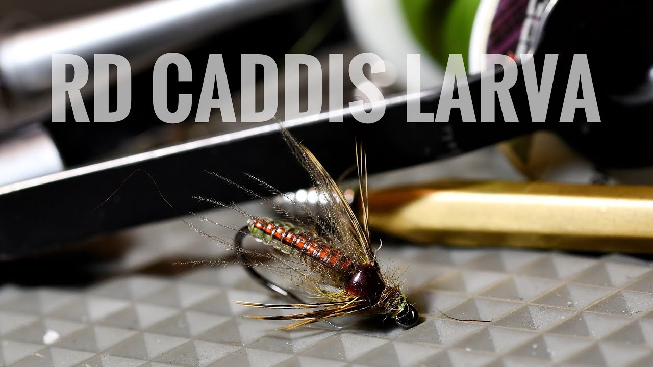 RD Caddis Larva - Урок по вязанию мушки
