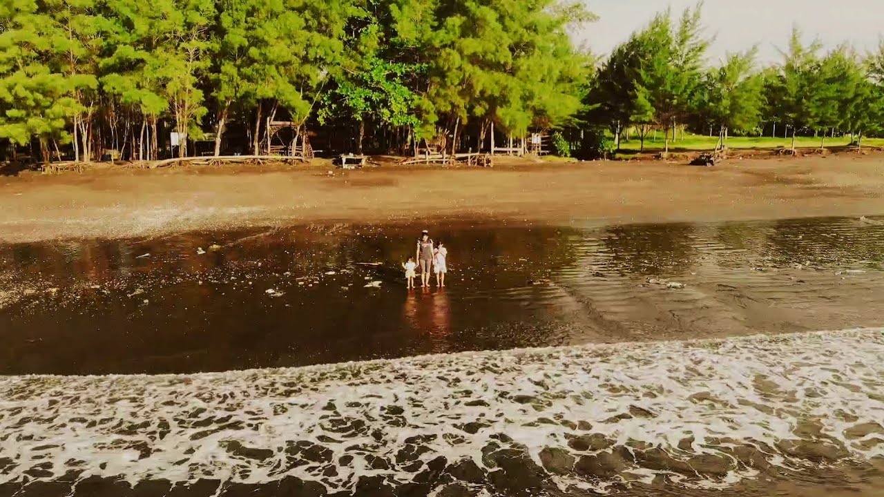 DJI Mavic Air 1 Cinematic Video | Pantai Gumuk Kantong Banyuwangi 