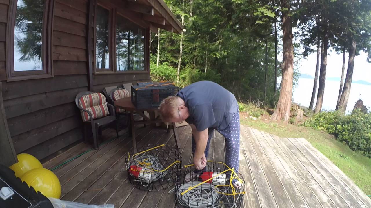 Pender Island Traps 2016