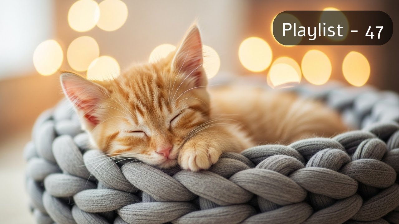 [Track - 47] Peaceful Piano Music for Rest with Cat Vibes