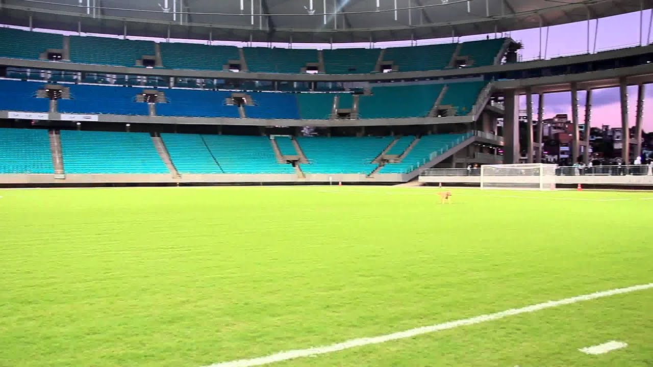 Conhe&ccedil;a detalhes da Arena Fonte Nova