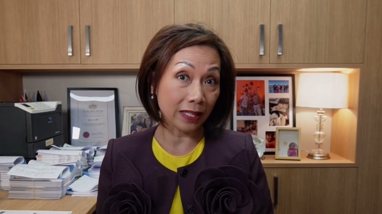 'They must be concerned': Dai Le on Labor's proposed Fowler redistribution