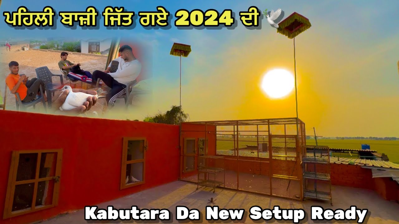 ਪਹਿਲੀ ਬਾਜ਼ੀ ਜਿੱਤ ਗਏ 2024 ਦੀ ਦੂਸਰ🕊️|| Gopi Da New Setup Ready Hogya |Goat baby For Sale | #kabootar