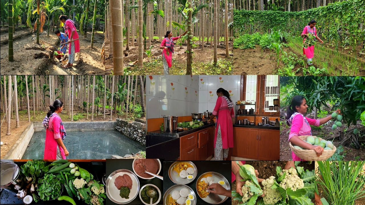 இயற்கையின் மொழிகள் புரிந்துவிடில் மனிதரின் மொழிகள் தேவையில்லை/Day in my villagelife 