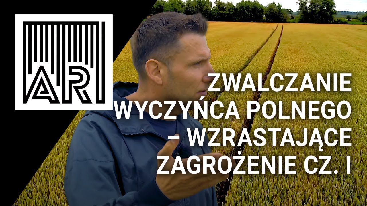 Zwalczanie wyczyńca polnego – wzrastające zagrożenie cz. I  || AR #241