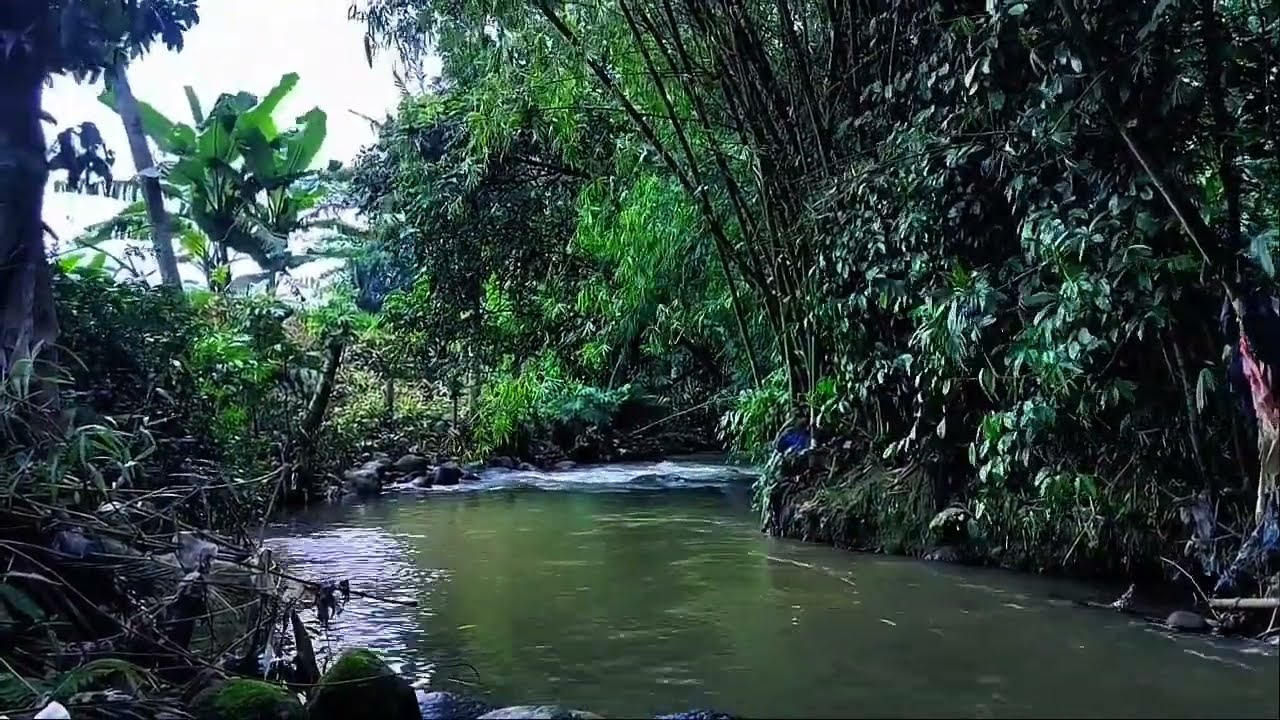 Shooting music and flowing water || then fell asleep