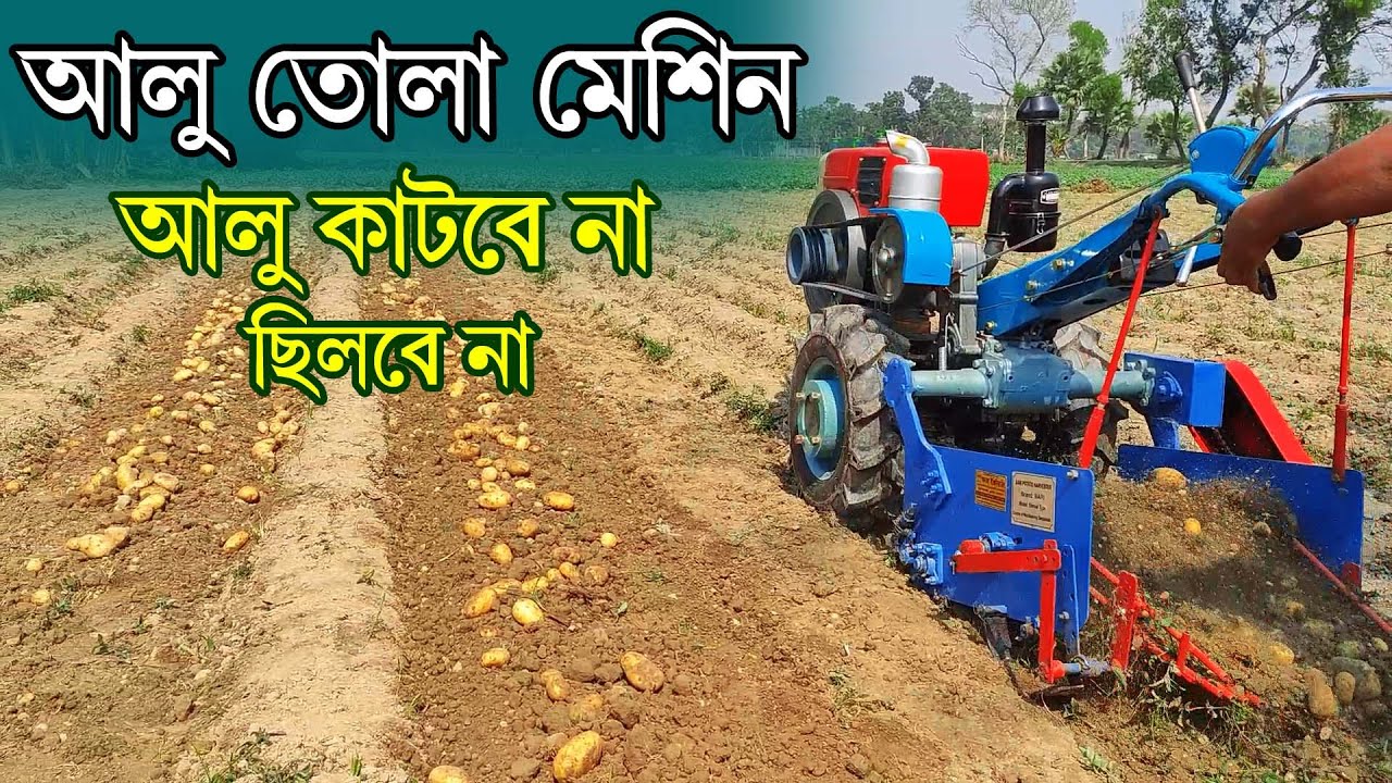 বারি আলু উত্তোলন যন্ত্র । আলু তোলা মেশিন , How To Harvest Potato? BARI Potato Harvester - Janata Eng