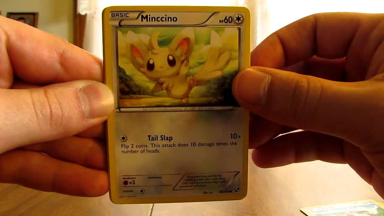 Opening a Zekrom Black and White Pokemon Card Tin