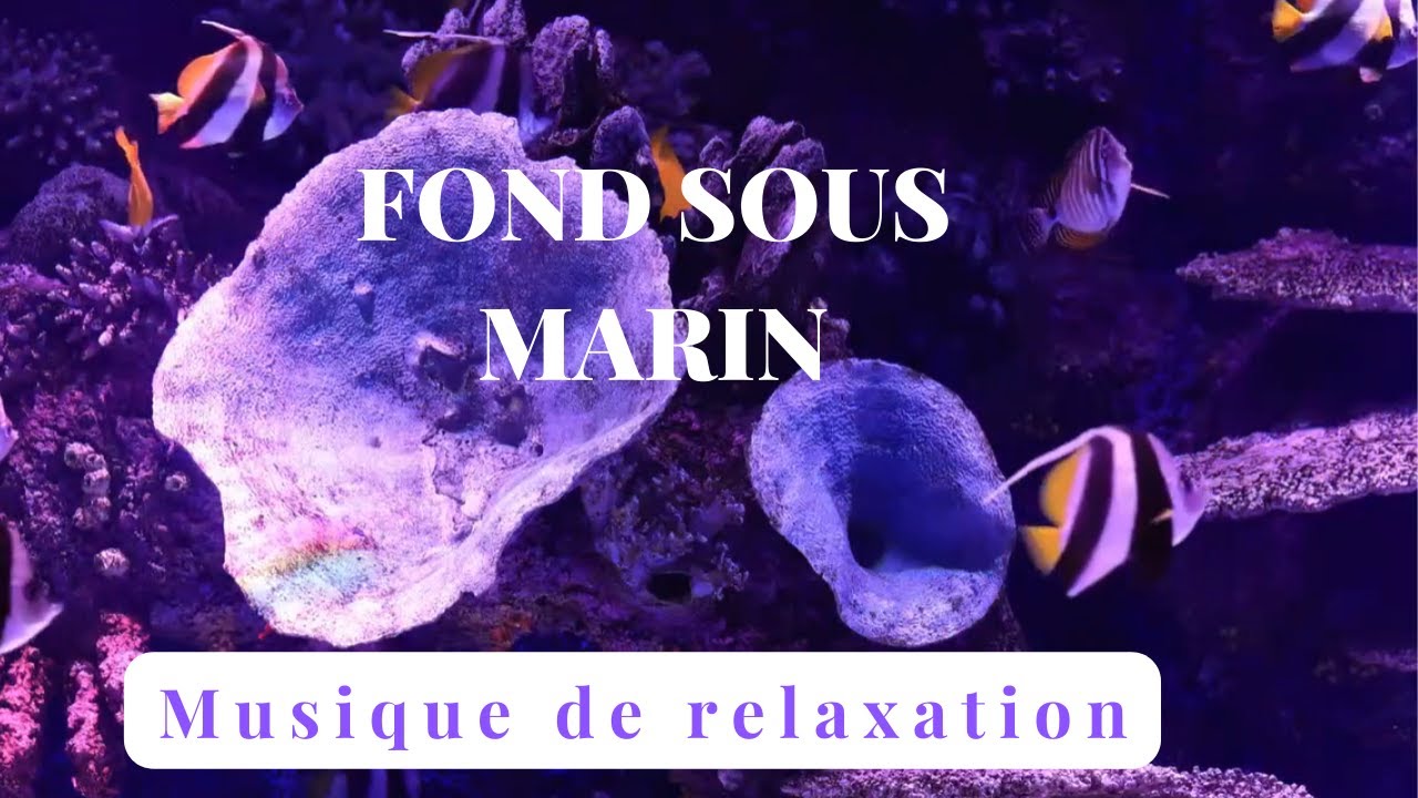 Fond sous marin  magnifique - Musique de relaxation - D&eacute;tente assur&eacute;e
