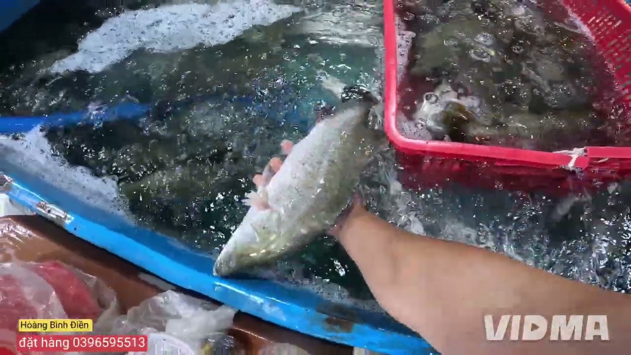 Chợ cá vô nước. Tôm đất cá rất nhiều. Nay đang rẽ. 17/1