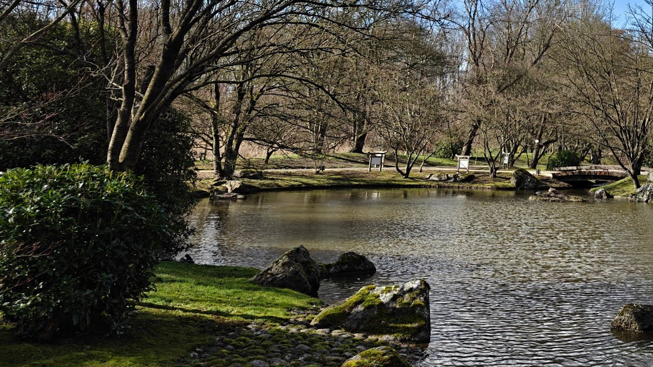 Открытие Японского сада 1 марта 2026