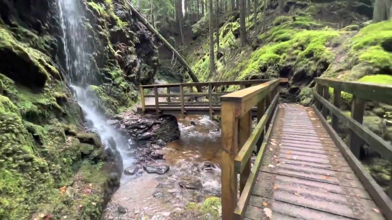 Puck’s Glen Dunoon , 28/10/2022