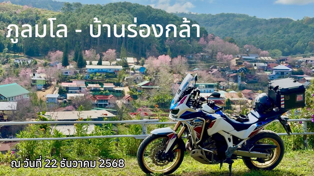 ขี่มอไซค์รีวิวเส้นทางอุทยานแห่งชาติภูหินร่องกล้า-ภูลมโล เที่ยวชมดอกพญาเสือโคร่ง (ซากุระเมืองไทย)