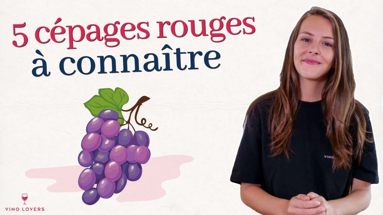 5 c&eacute;pages rouges &agrave; conna&icirc;tre absolument (cabernet sauvignon, merlot, pinot noir, syrah et grenache)