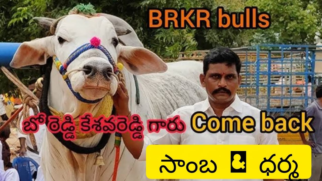 ఐజ సీనియర్ విభాగం6వా జాత బో రెడ్డి కేశవరెడ్డి పెద్ద కొట్టాల