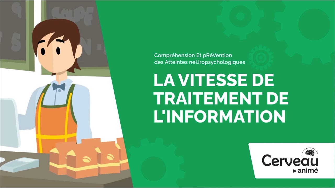 La vitesse de traitement de l'information - Cerveau animé