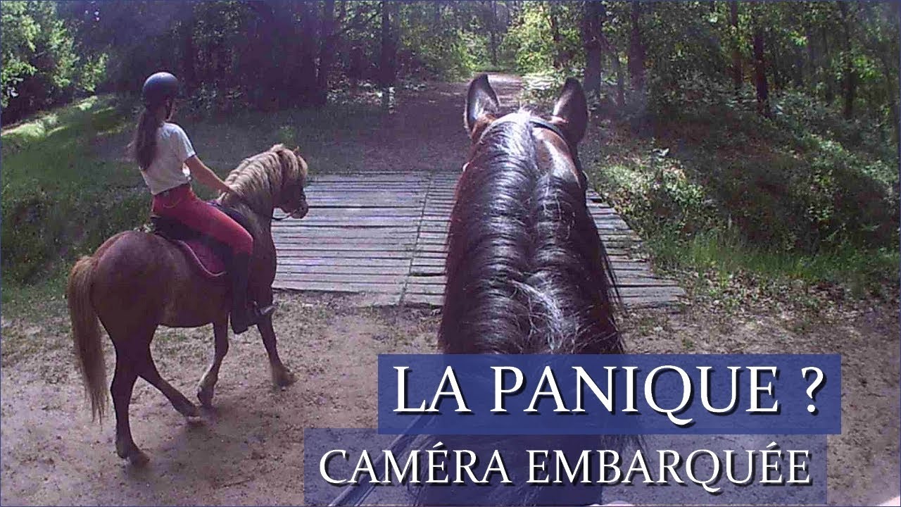 CAMÉRA EMBARQUÉE EN BALADE - Avec Ace et Baly