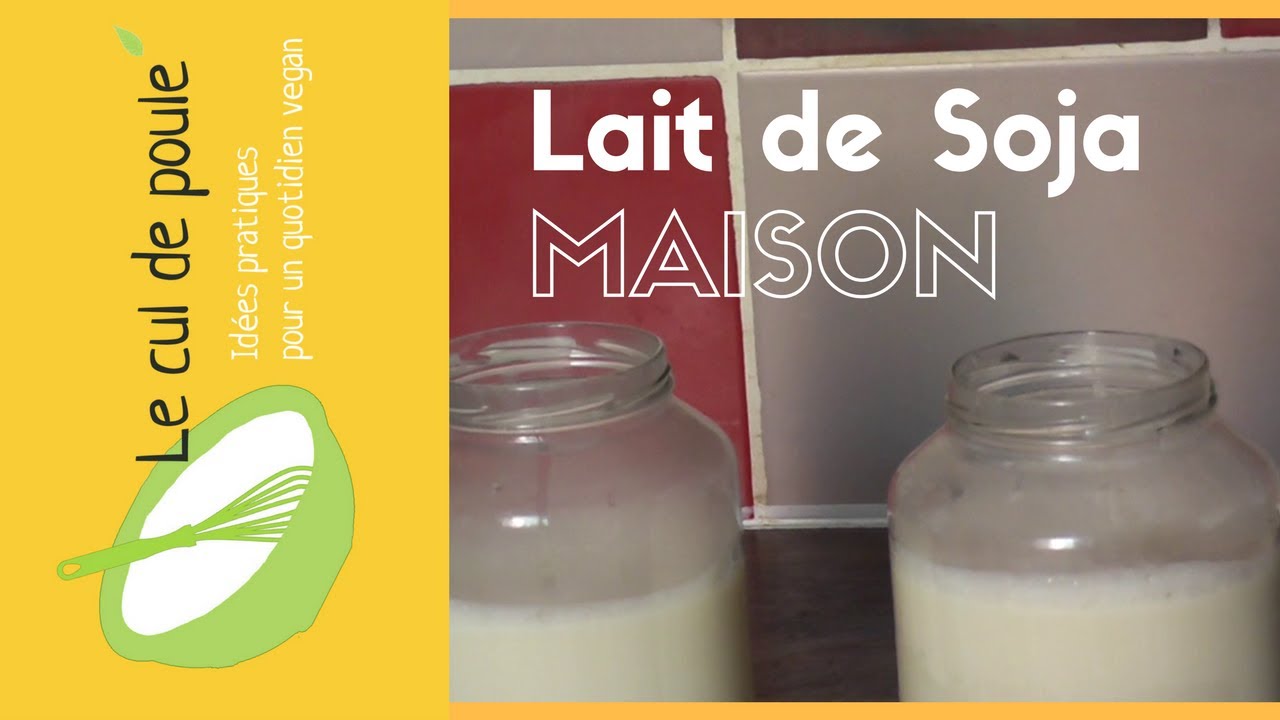 Lait de soja maison