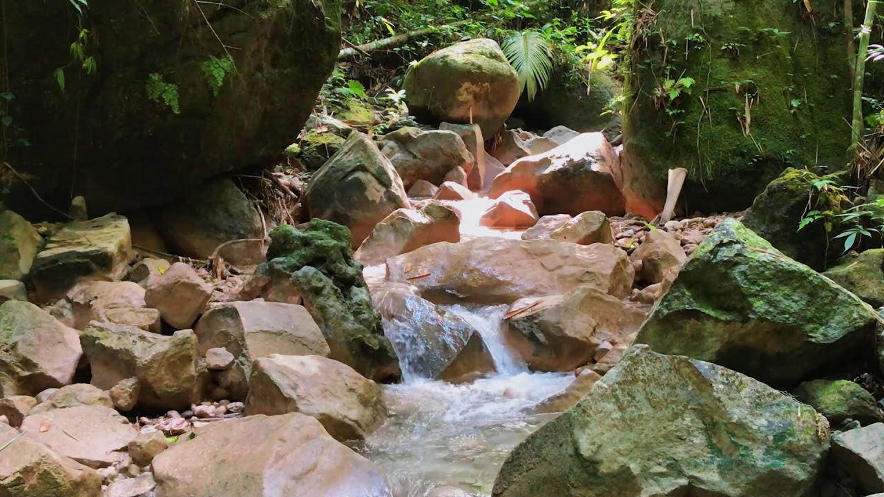 Running River for Mental Clarity, Mindfulness, Worry Relief