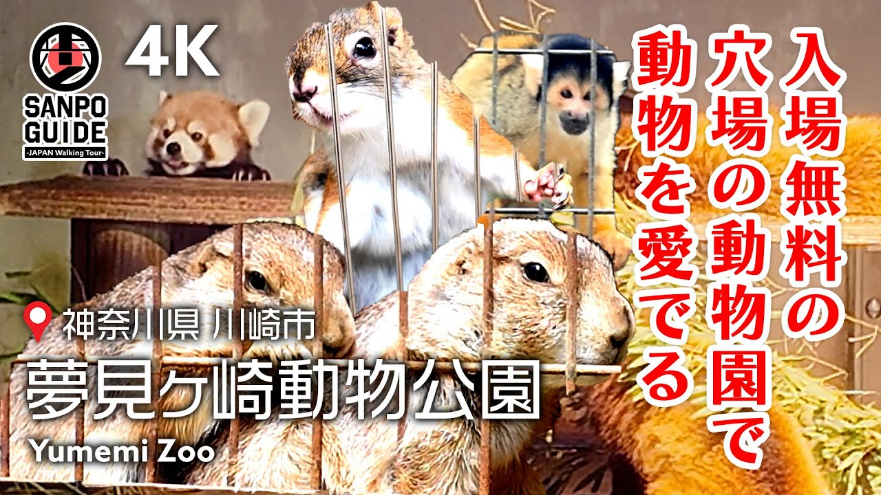 【夢見ヶ崎動物公園】夏休みのお出かけにぴったり🎐🍉入場料無料で楽しめる穴場スポット！ 4K｜神奈川散歩