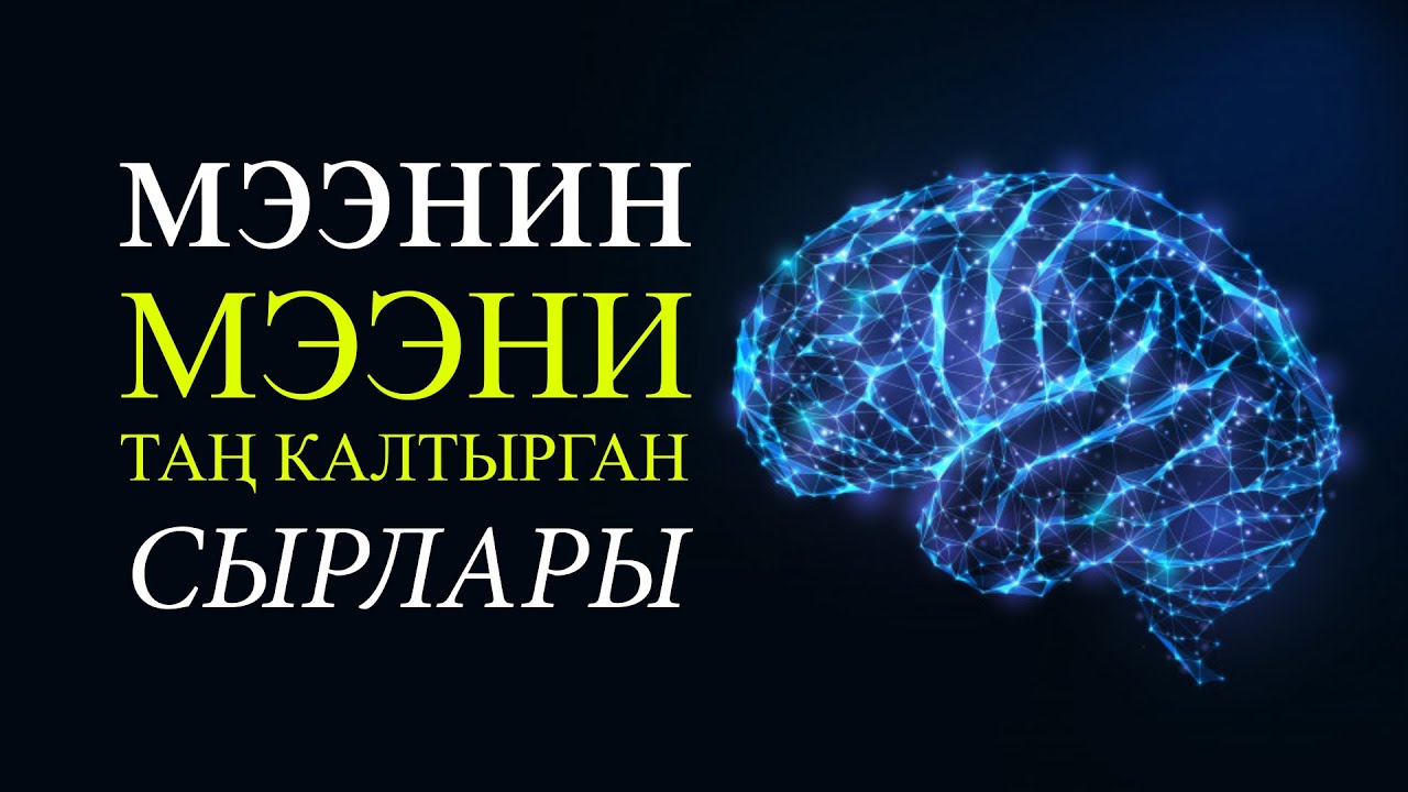 Мээнин таң калычтуу сырлары!