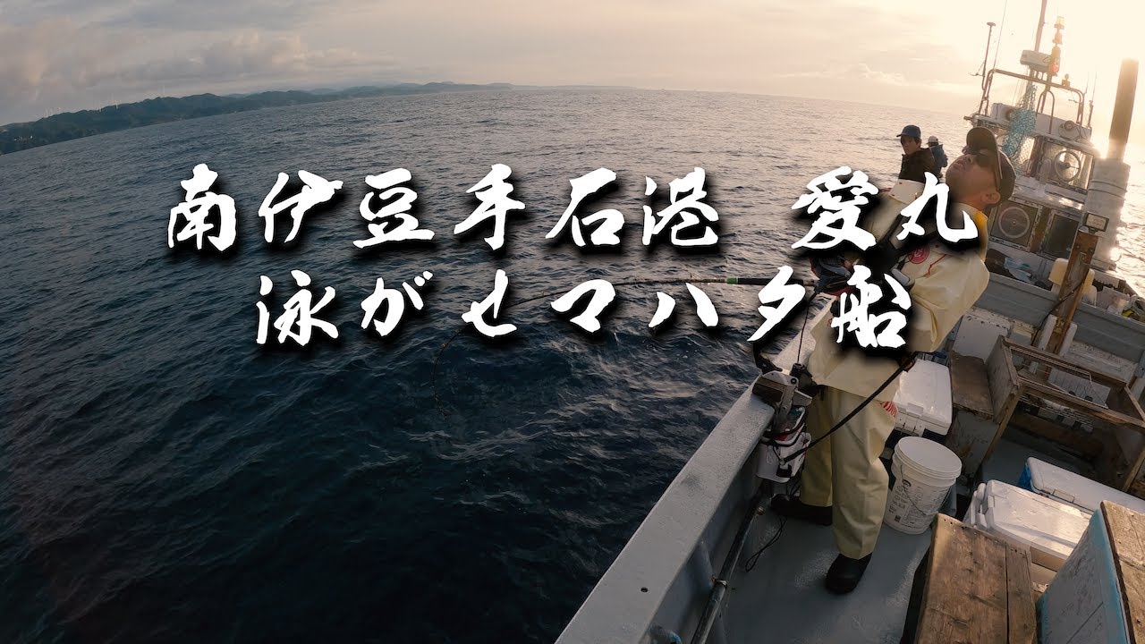 【伊豆で泳がせ マハタ船】＠南伊豆 手石港 愛丸 【色々釣れた】