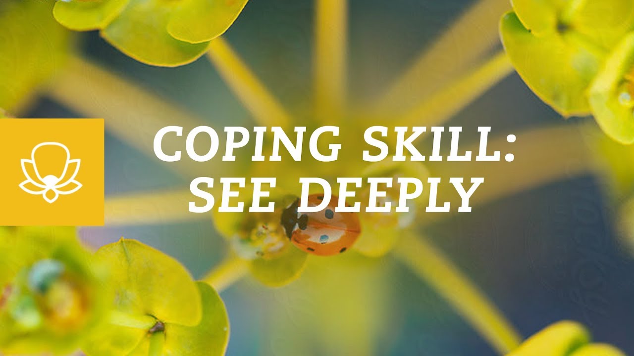 Mindfulness for Anxiety & Stress: Visual Immersion Exercise