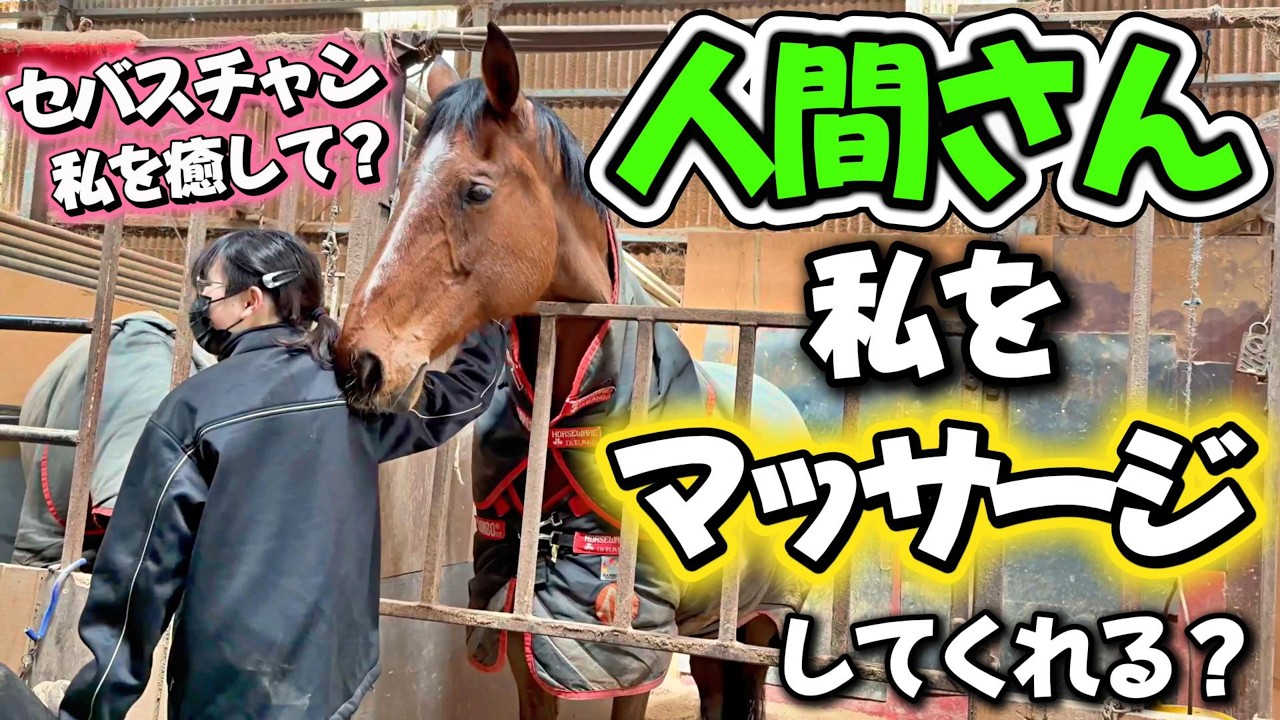 お嬢様馬ぜレナ様の要求が可愛すぎる…。目の前を通り過ぎようとする学生の女の子に上目遣いを使って甘える姿がコチラです。【ツルマルボーイ様のシモベ】