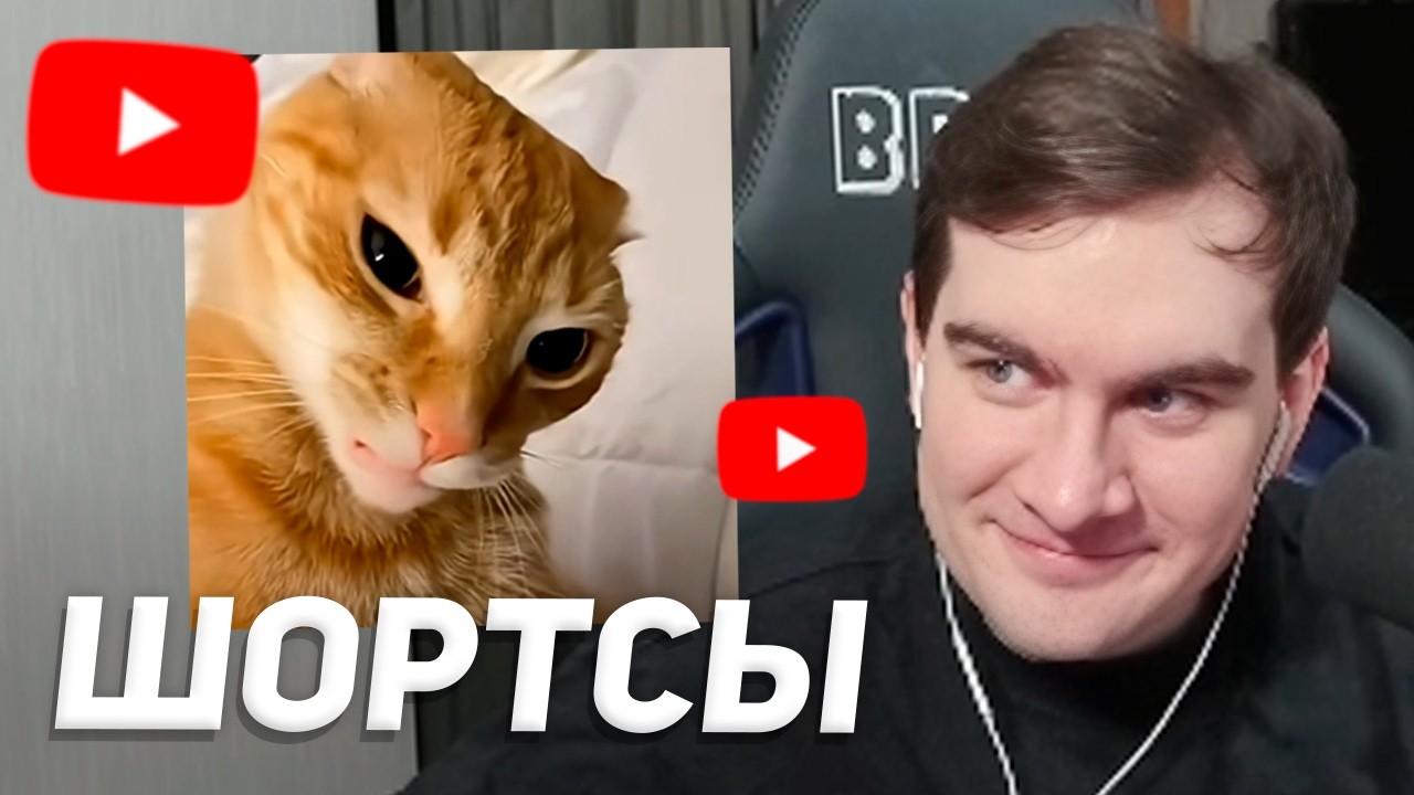 БРАТИШКИН СМОТРИТ - ЮТУБ ШОРТСЫ (с котами и не только)