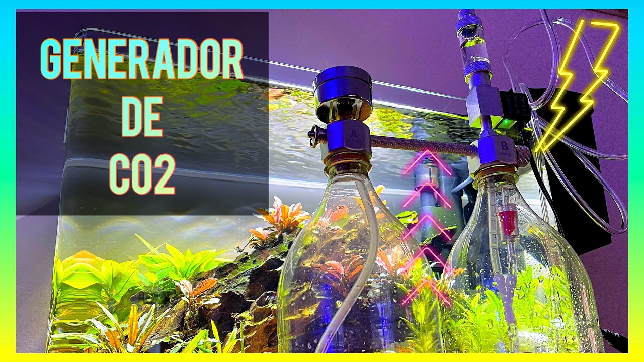 GENERADOR DE CO2 CON ACIDO CITRICO Y BICARBONATO / TUTORIAL
