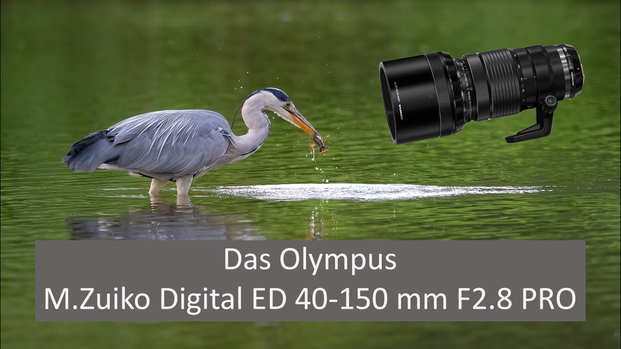 Abenteuer Naturfotografie / Das M.Zuiko Digital ED 40-150mm f 2,8 PRO