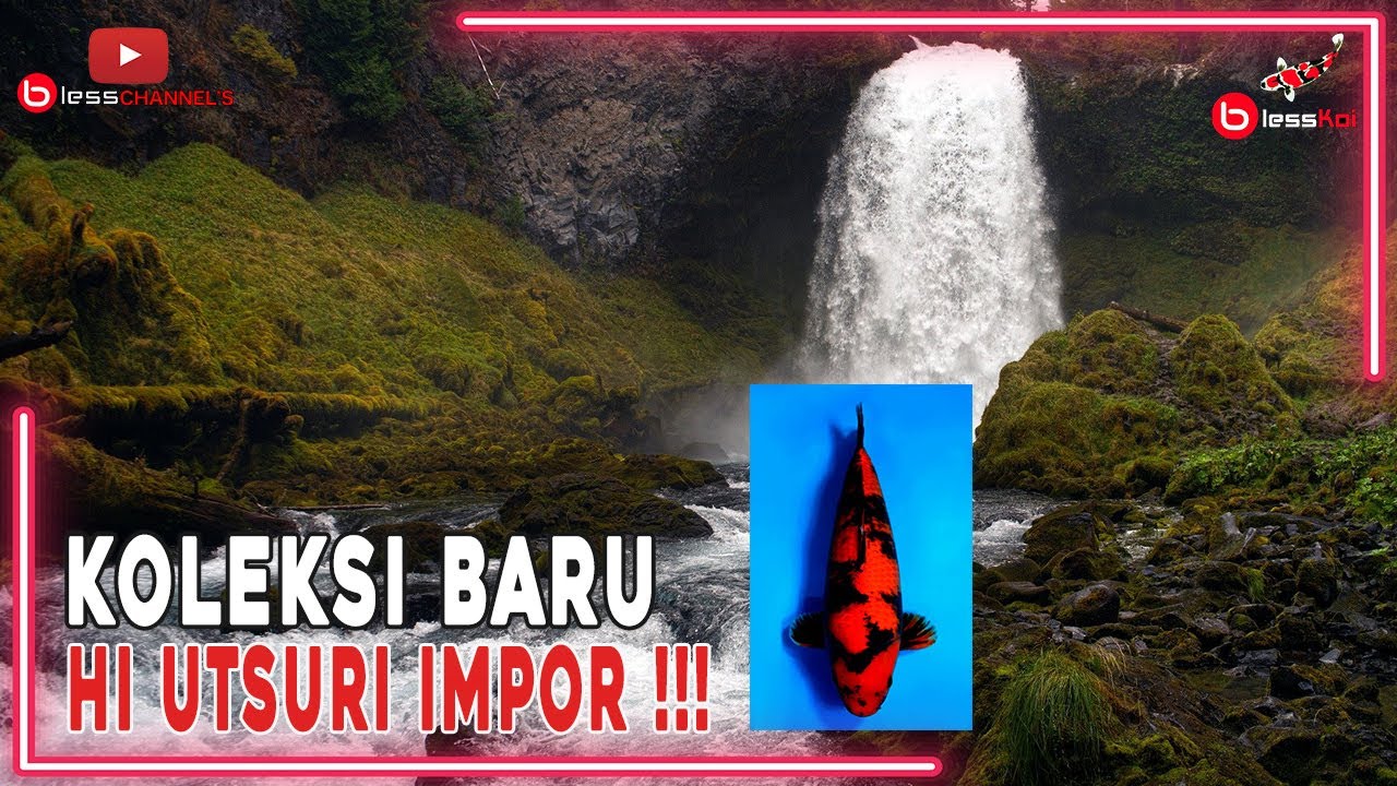 KOLEKSI BARU HI UTSURI IMPOR ❗❗❗