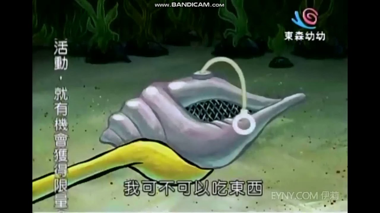海綿寶寶  神奇海螺