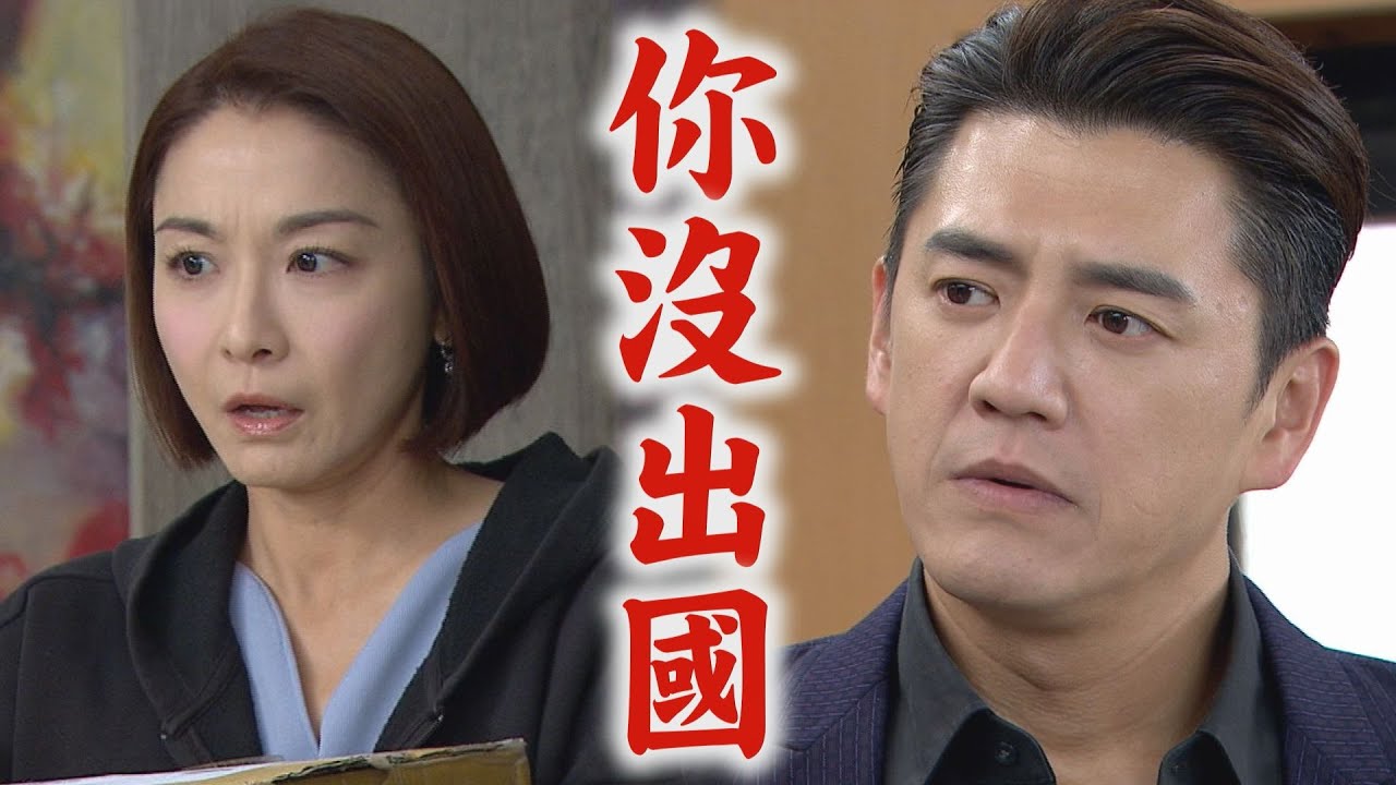 【願望】EP260 詩涵幫顧成報仇!兇手們全被抓走 廷偉也被帶走調查...廷恩驚覺哥也跟案件有關｜完全娛樂