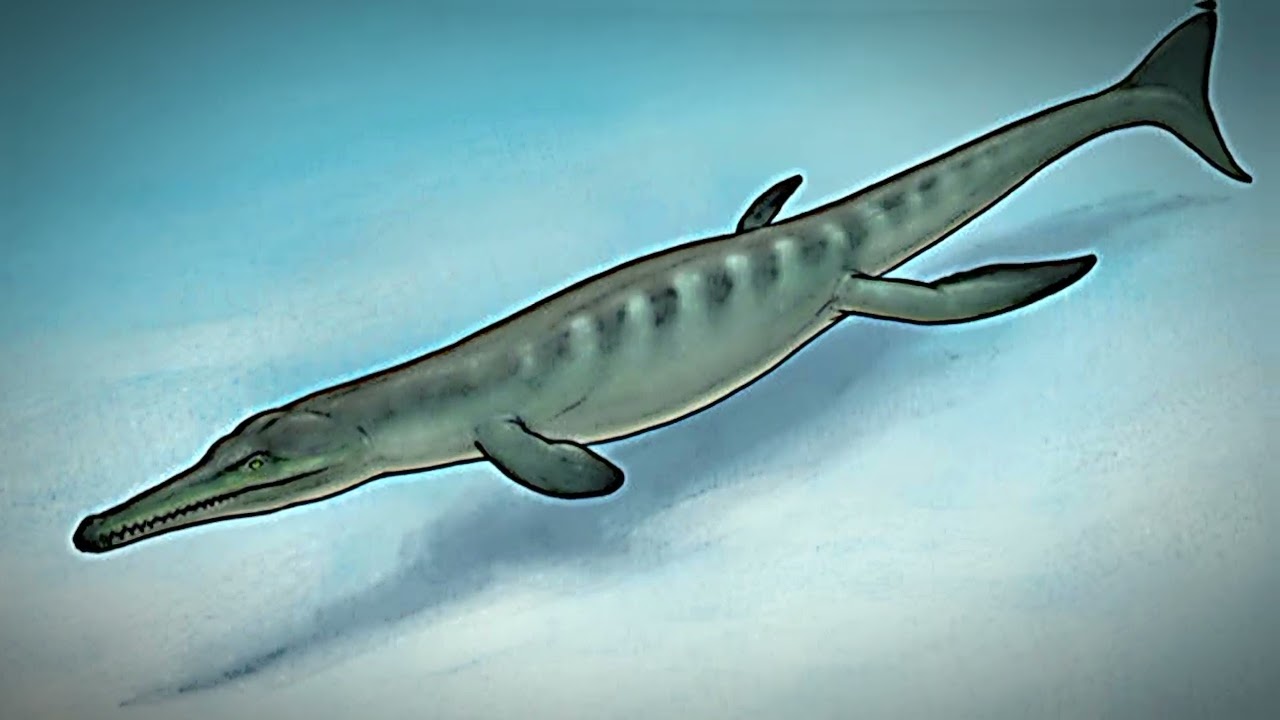 Buaya Laut prasejarah #Metriorhynchus #likeandsubscribe 