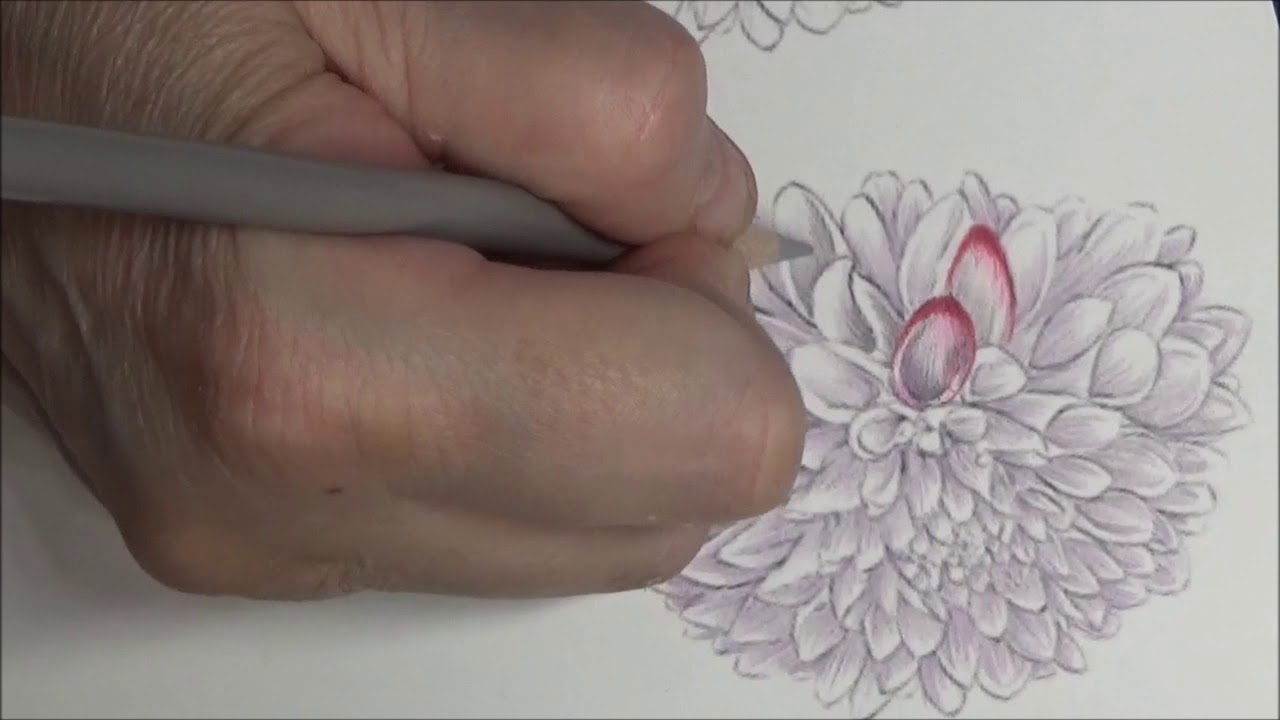 Tutorial: How To Color A Dalia 2 - Different Color Combinations - Colored Pencils Lisa Brando