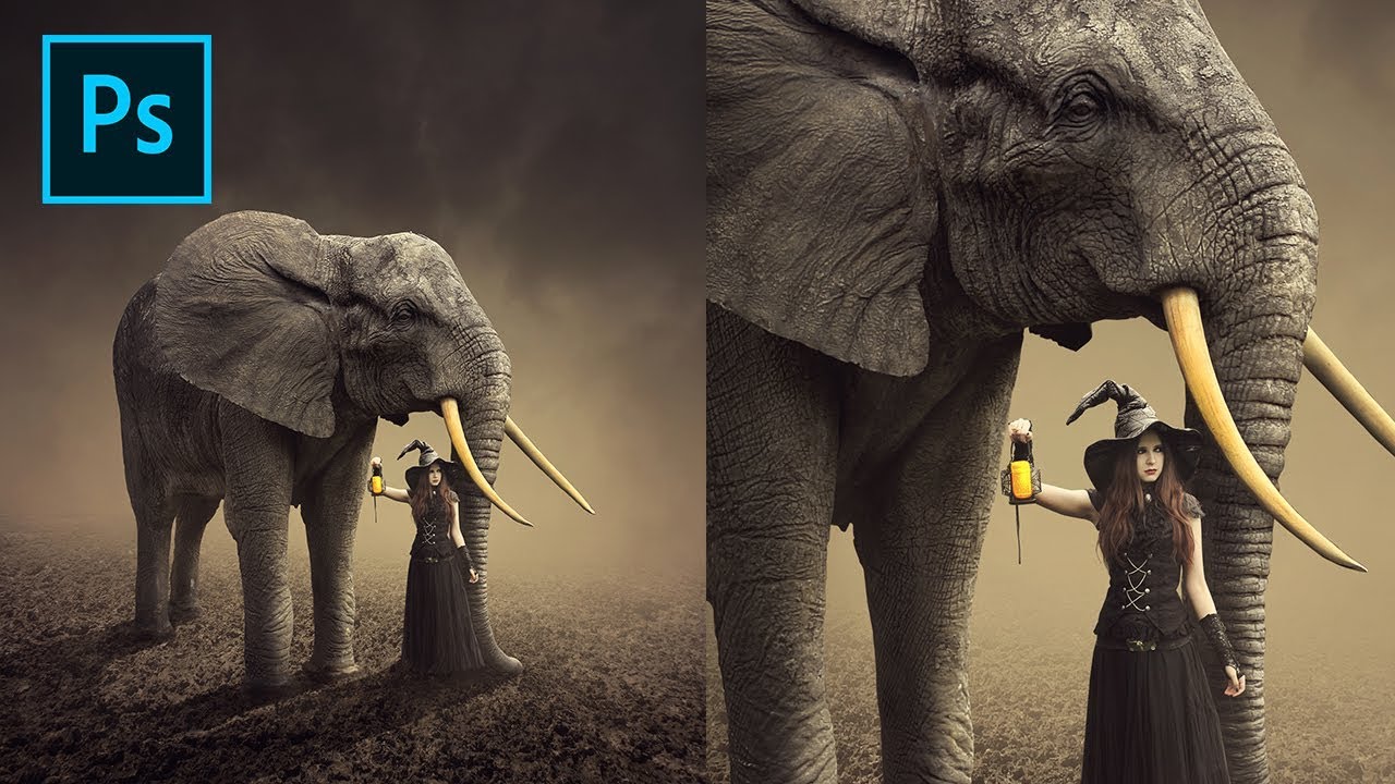 Learn Photoshop Digital Manipulation - The Elephant