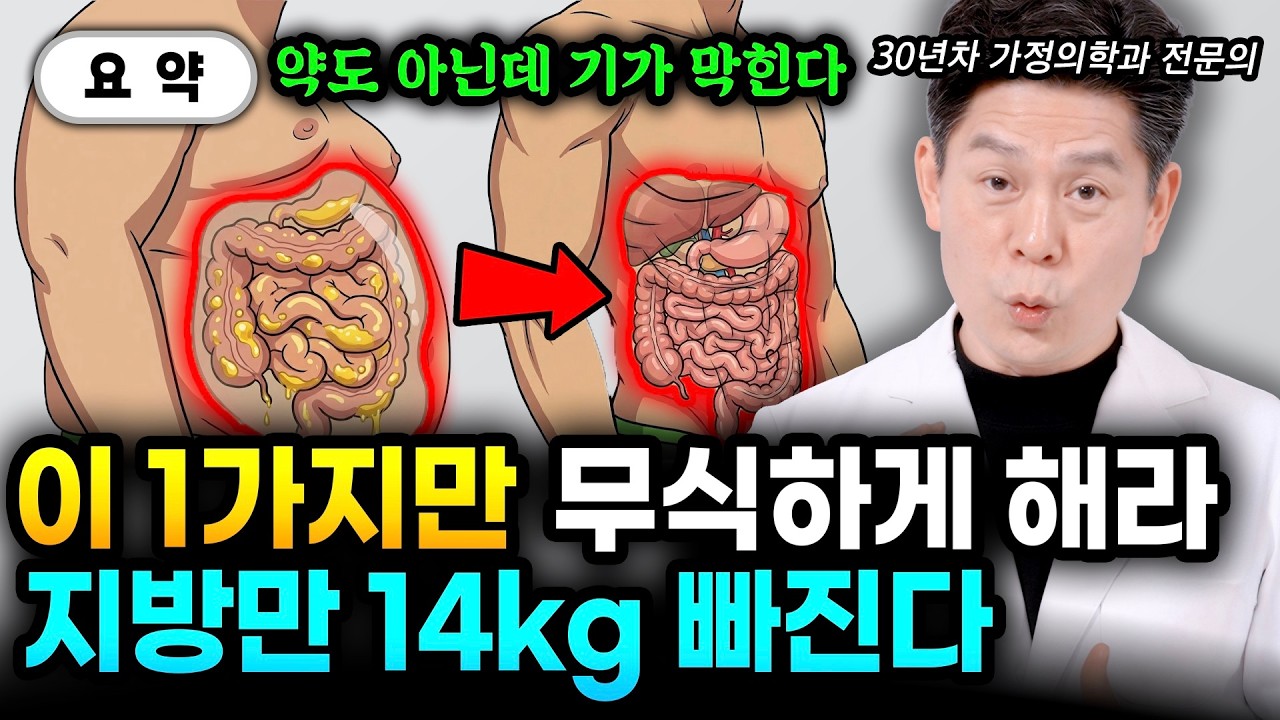 굶지않고 14kg 빼는 법 너무 간단하다. 걷기 대신 '이것' 했더니 뱃가죽이 등에 붙었어요 | 이진복 원장 15분 요약 #다이어트
