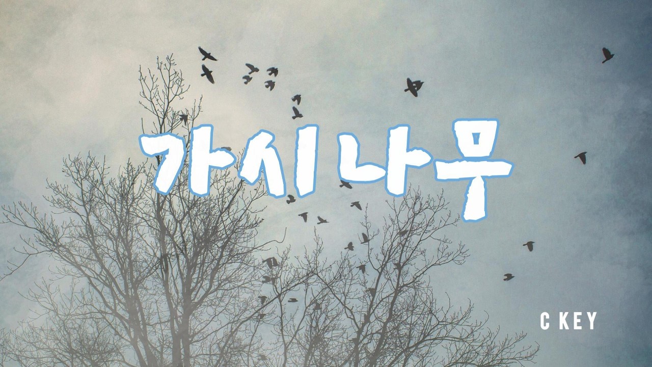 [가시나무#촌장과시인][조성모][가슴시린 곡][단음 비브라토][Tremolo Harmonica (C key)]