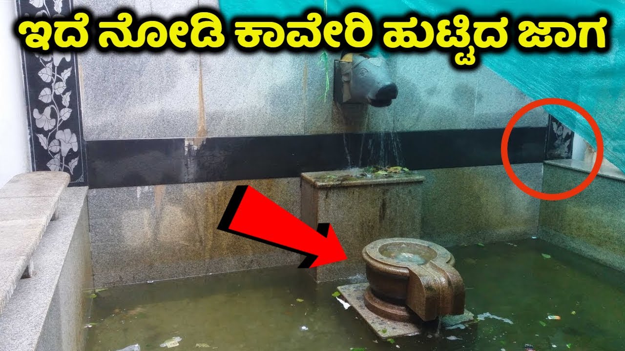 ಇಲ್ಲೇ ನೋಡಿ ಜೀವನದಿ ಕಾವೇರಿ ಹುಟ್ಟಿದ್ದು | Talakaveri | ತಲಕಾವೇರಿ | Tourist Places | Madikeri | Cauvery