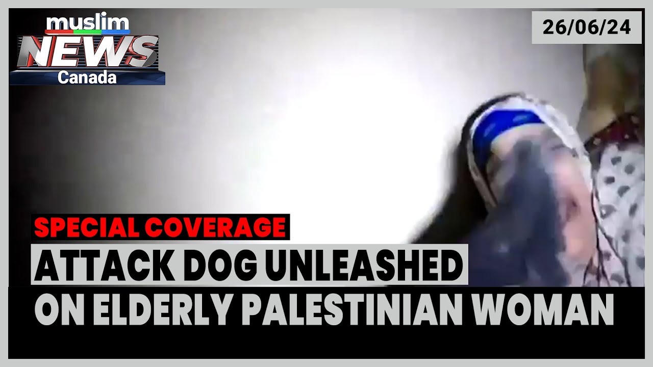 Israeli Military Unleashes a Dog on Elderly Palestinian Woman | June 26, 2024