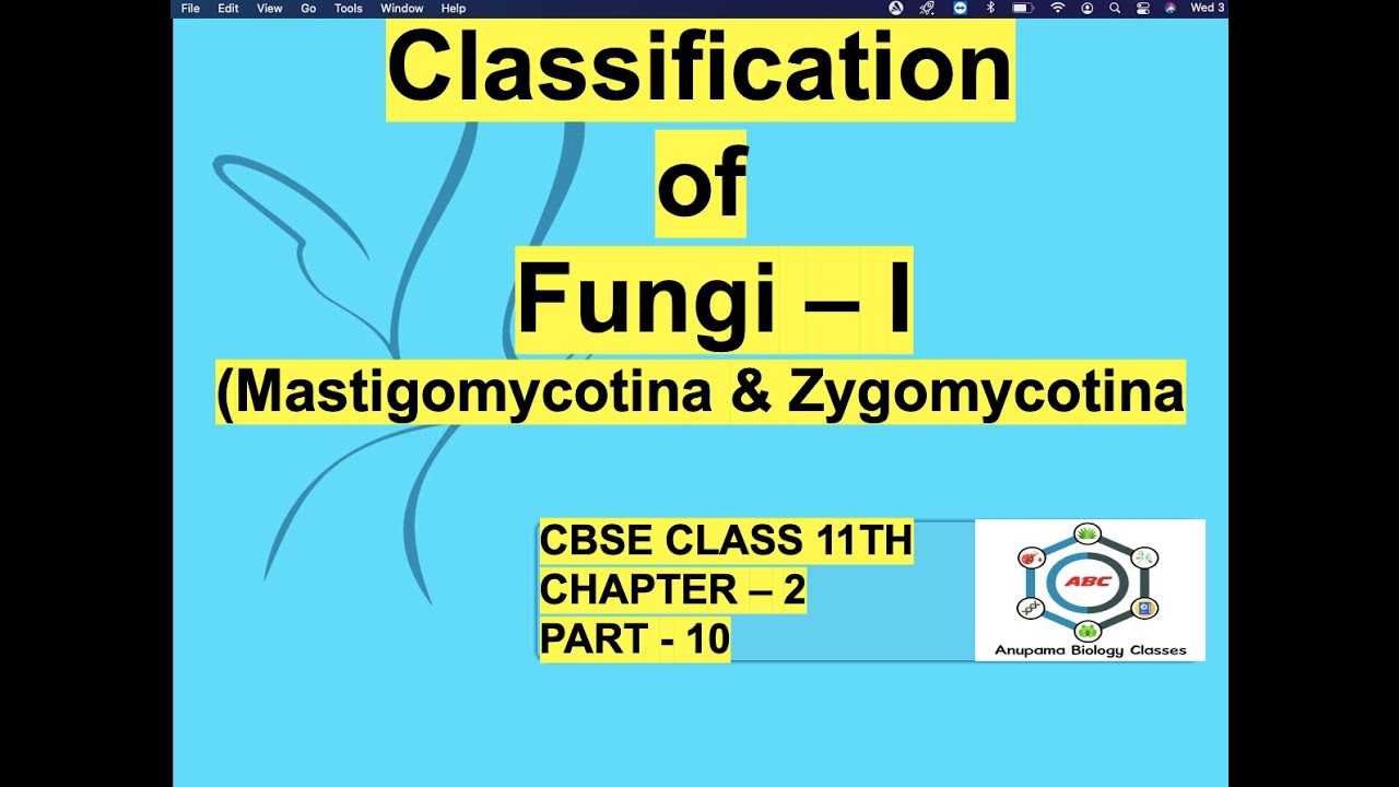 Classification of Fungi - I ( Mastigomycotina & Zygomycotina)