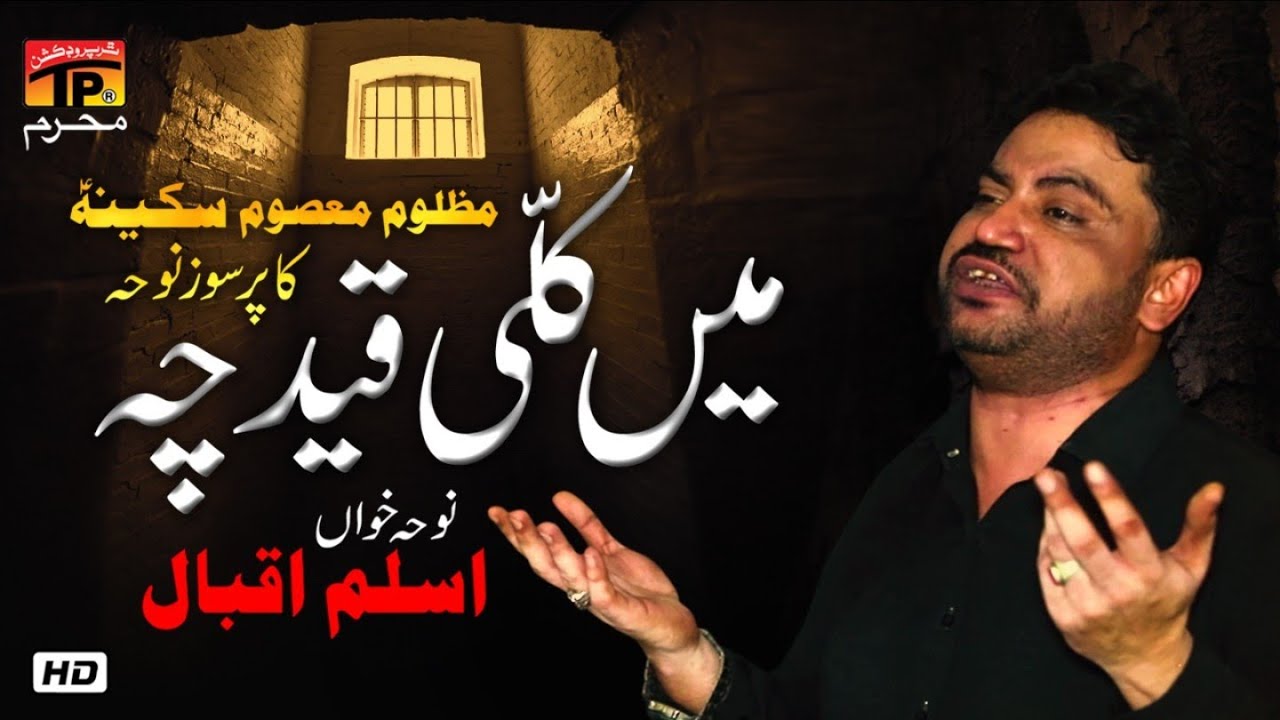 Main Kalli Qaid Ich Mar Jawan | Aslam Iqbal | New Noha 2020 | Tp Muharram