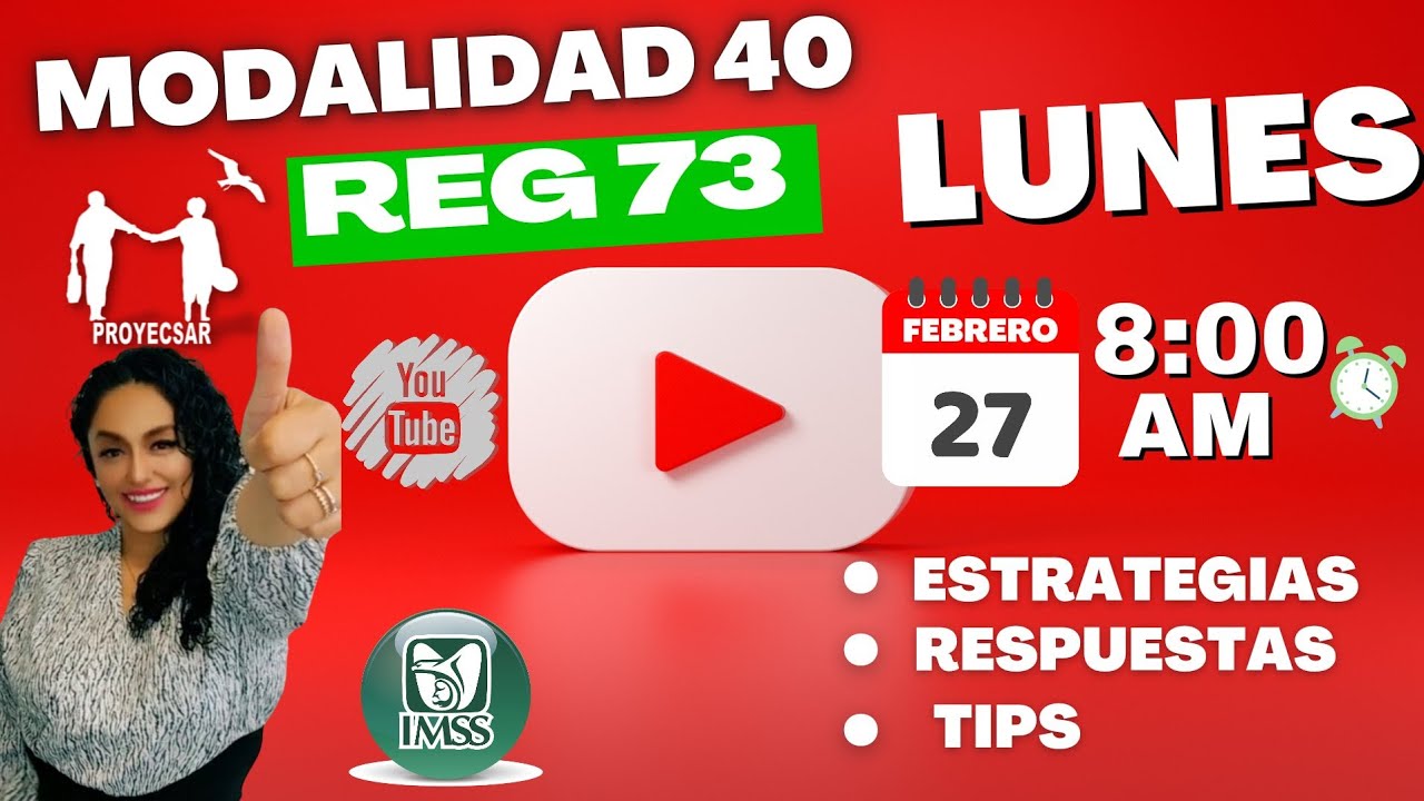 Chat en vivo, Régimen 73 y Modalidad 40