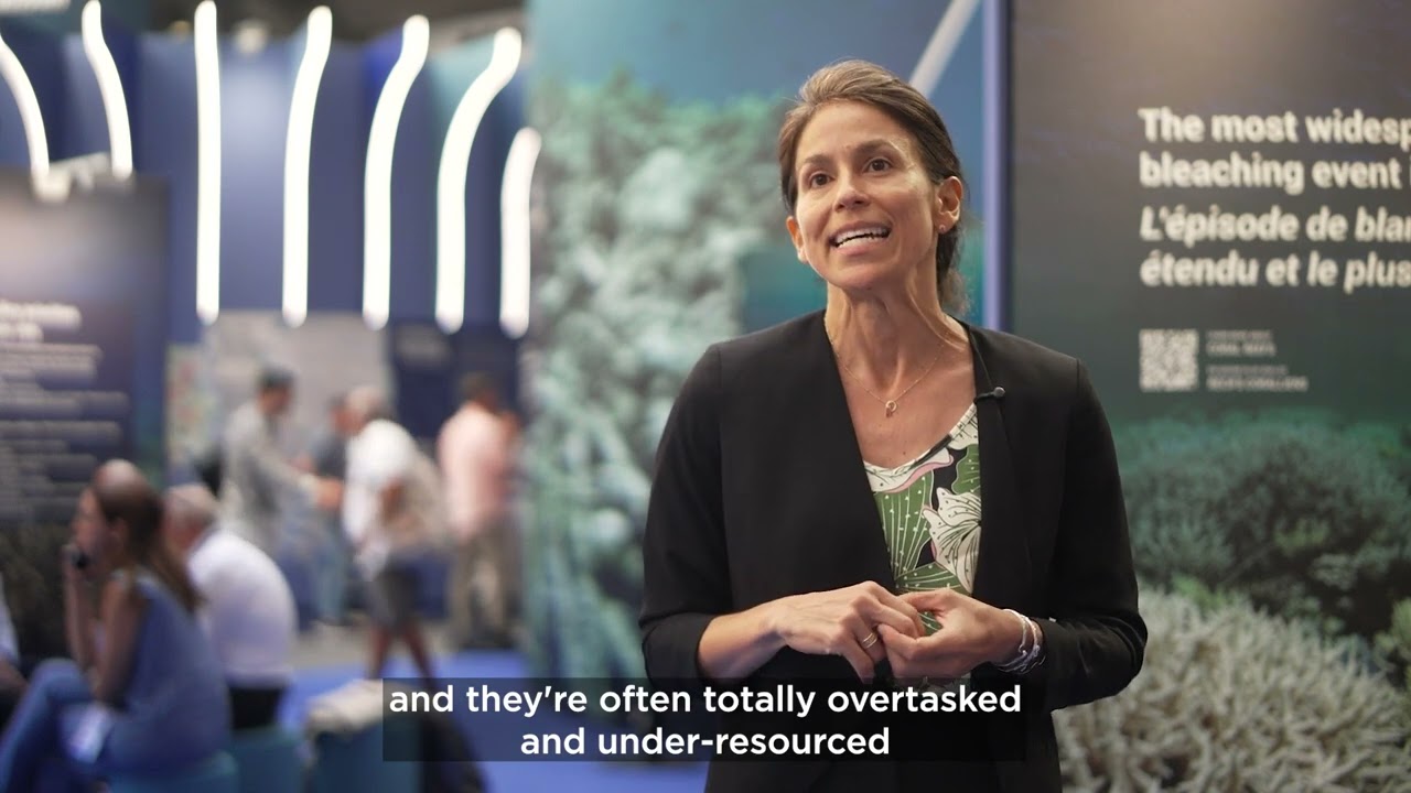 Strengthening Capacity of Critical Marine Areas - Reef Resilience Network at UNOC